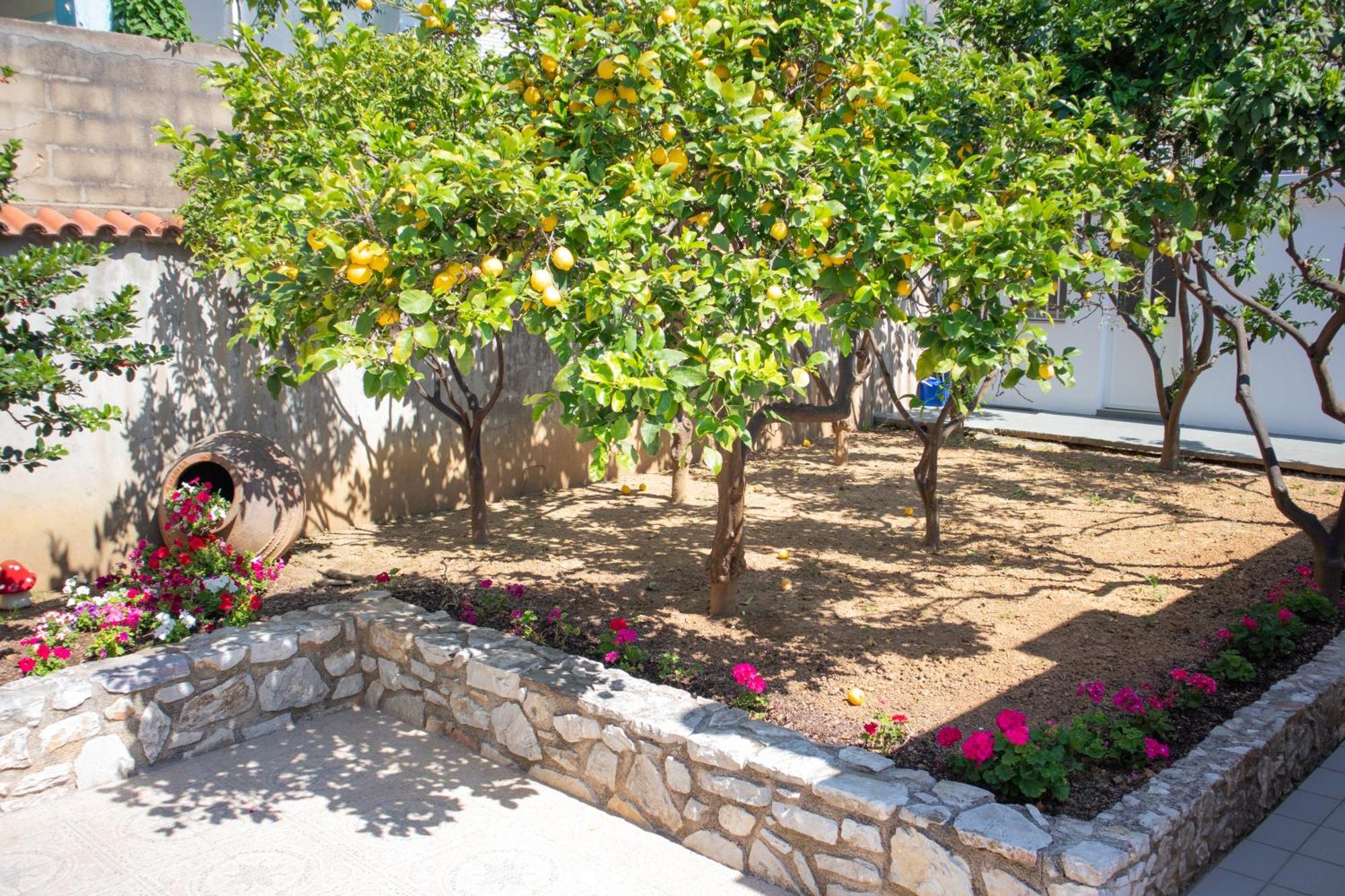 Athanasia Apartments Skiathos Exterior photo